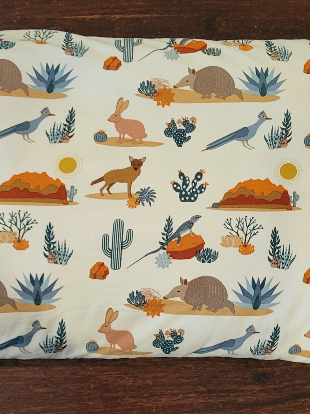Emerson And Friends Adult Blanket 60x90, Desert Friends